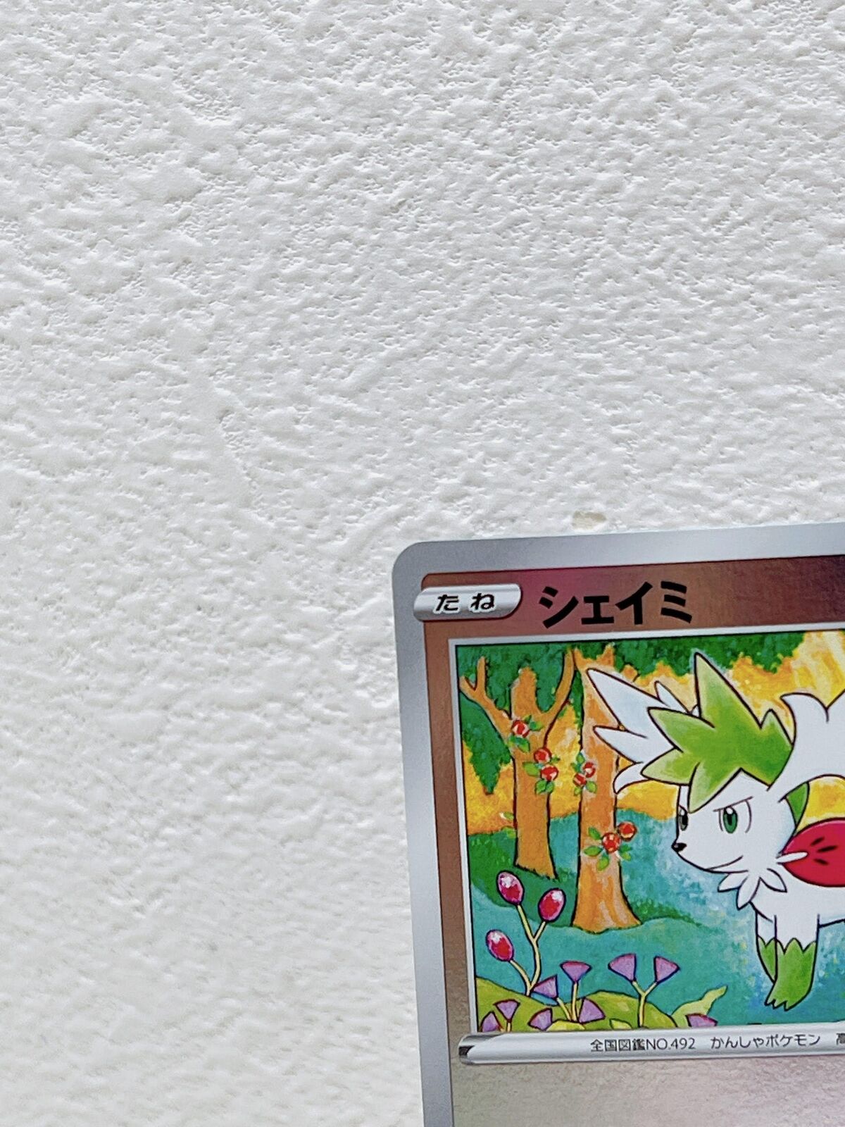 Shaymin 326/S-P Lugia Get Challenge PROMO - Pokemon Card Japanese