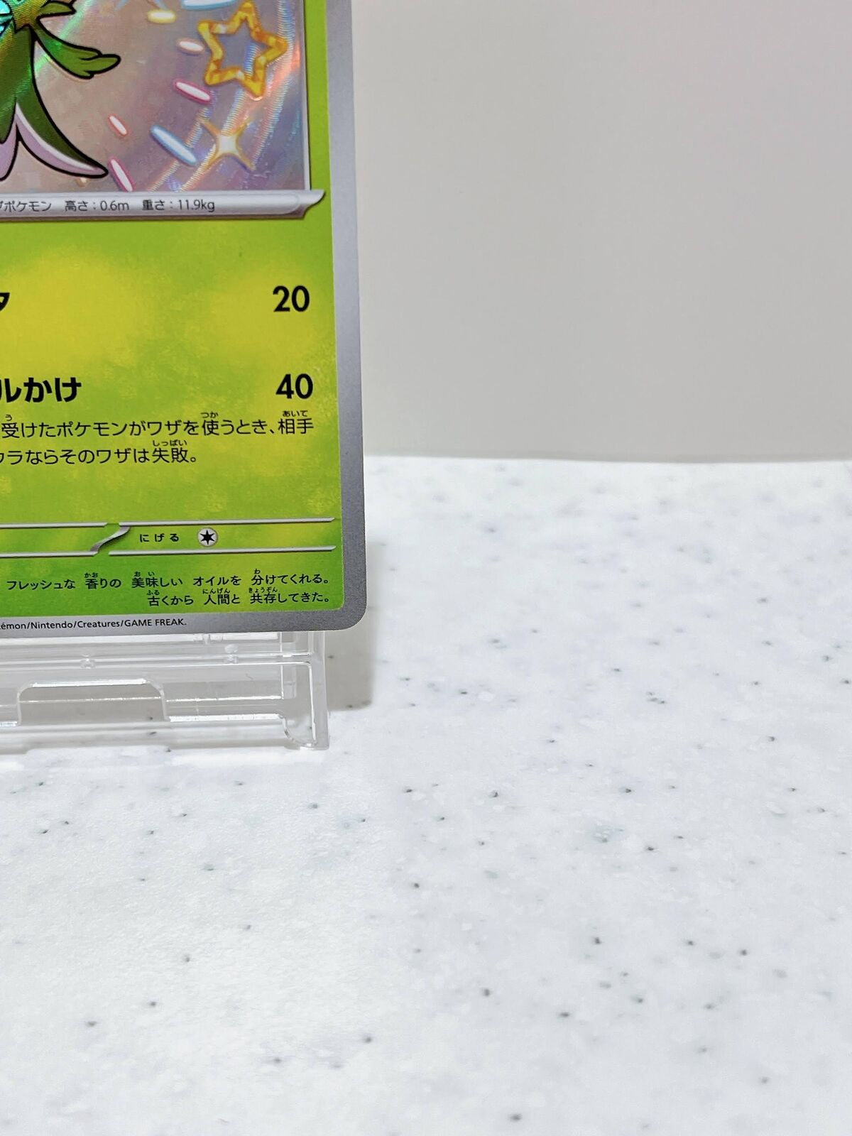 Shiny Dolliv S 204/190  Pokemon Card Japanese