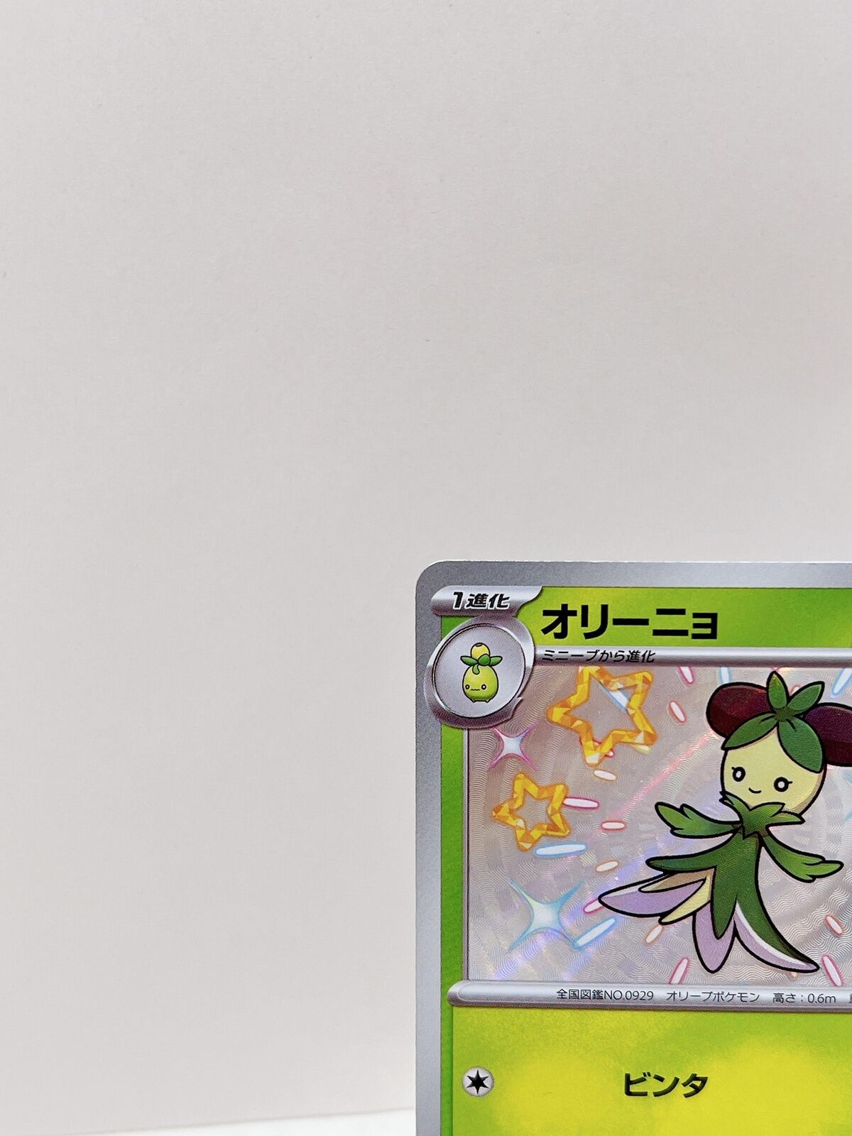 Shiny Dolliv S 204/190  Pokemon Card Japanese