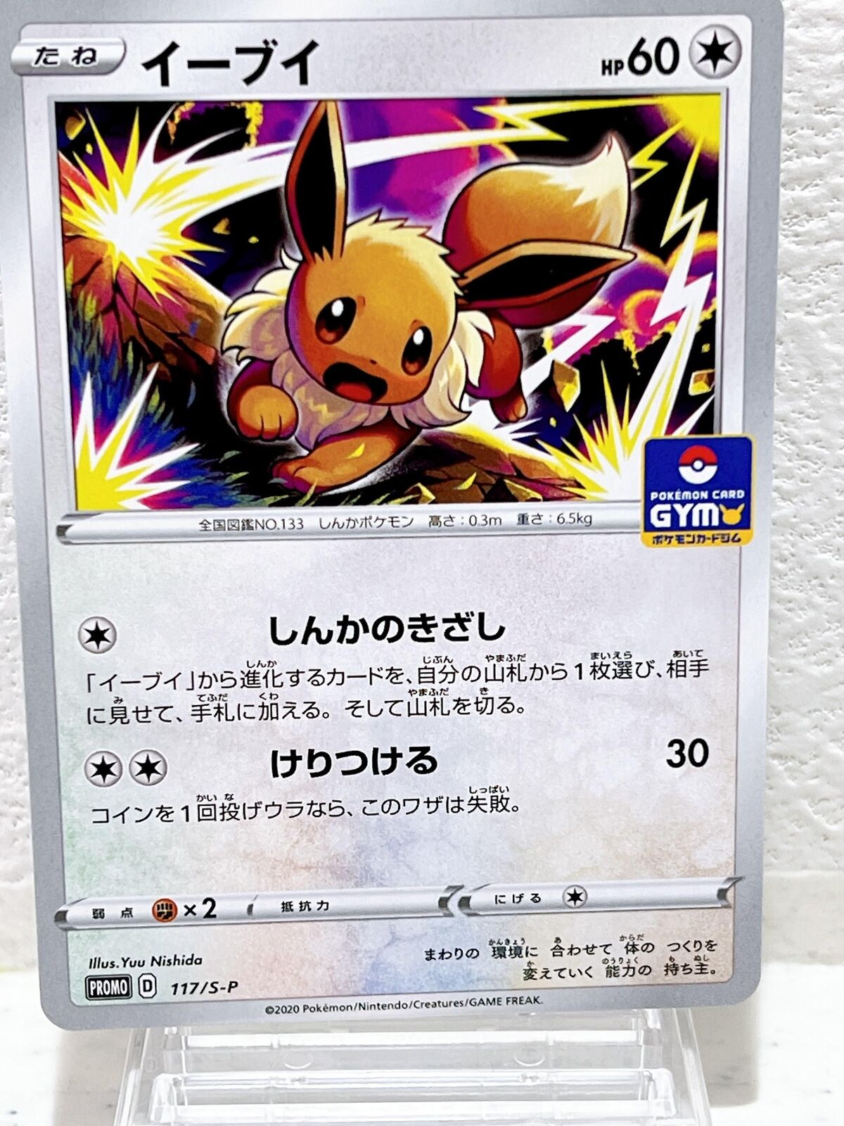 Eevee 117/S-P GYM PROMO - Pokemon Card Japanese