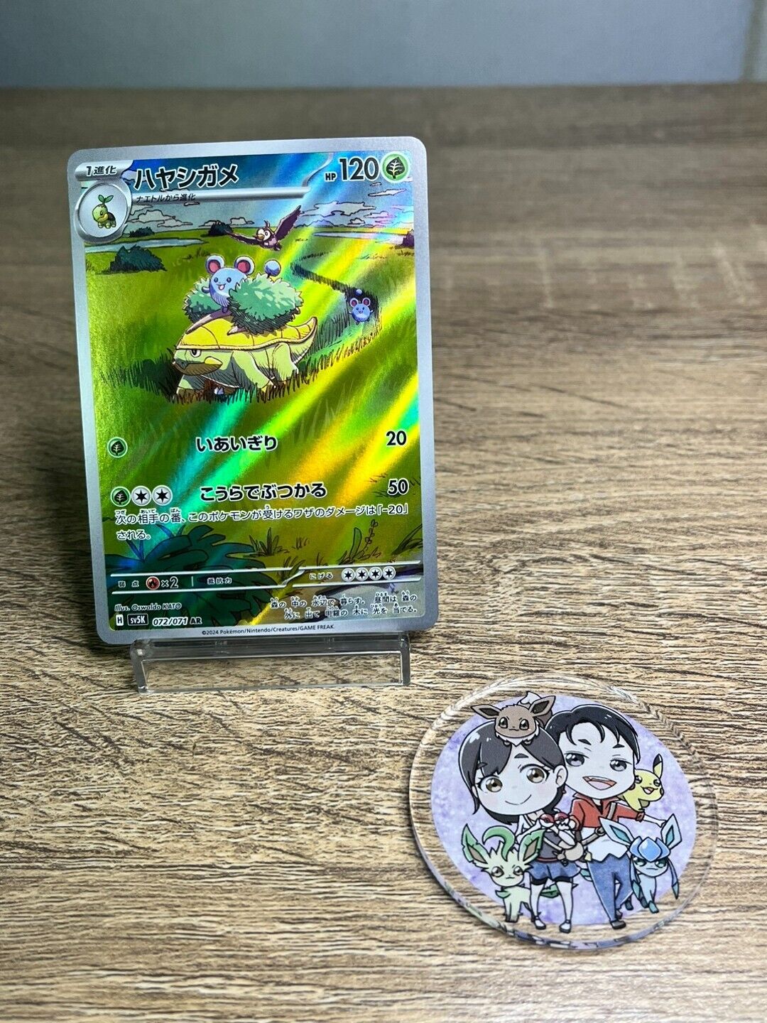 Grotle AR 072/071 SV5K Wild Force - Pokemon Card Japanese Scarlet & Violet